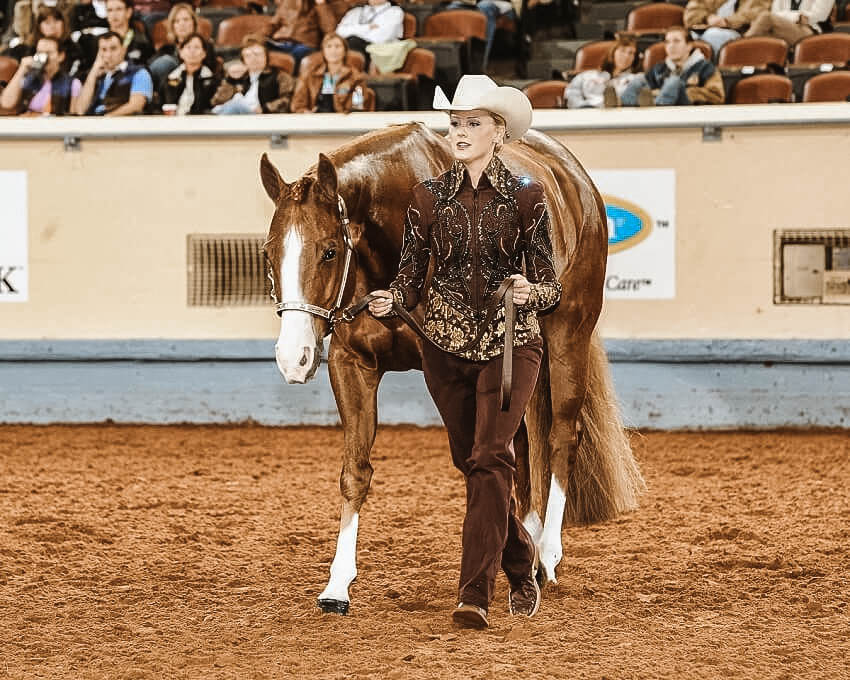Horse Show In Oklahoma City