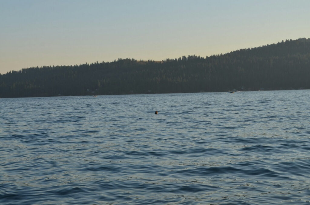 Lake Coeur d'Alene in northern Idaho.