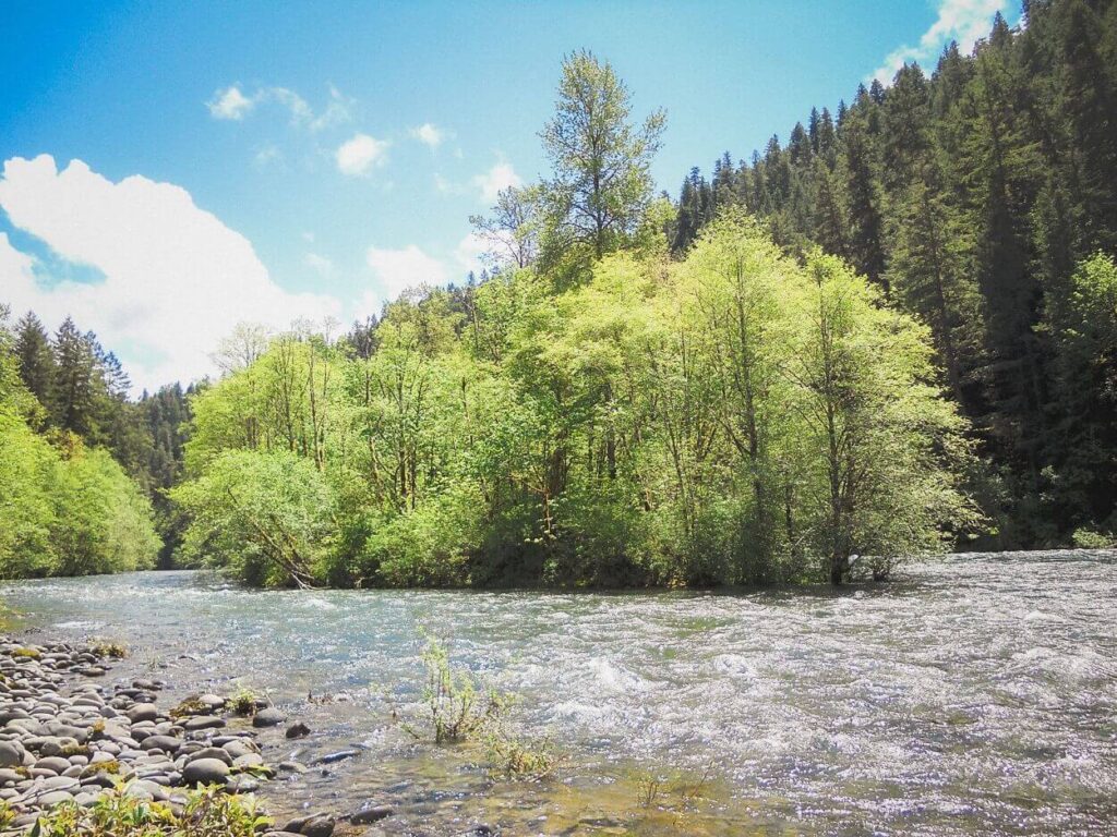 The crystal-clear McKenzie River under blue skies in Oregon.
