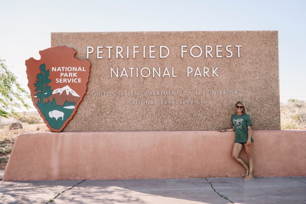 Petrified Forest National Park, Arizona.