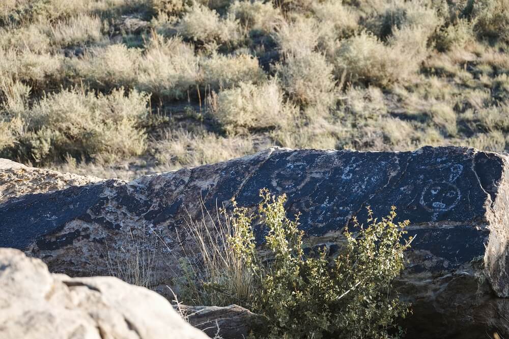 Petroglyphs at Petrified Forest National Park.