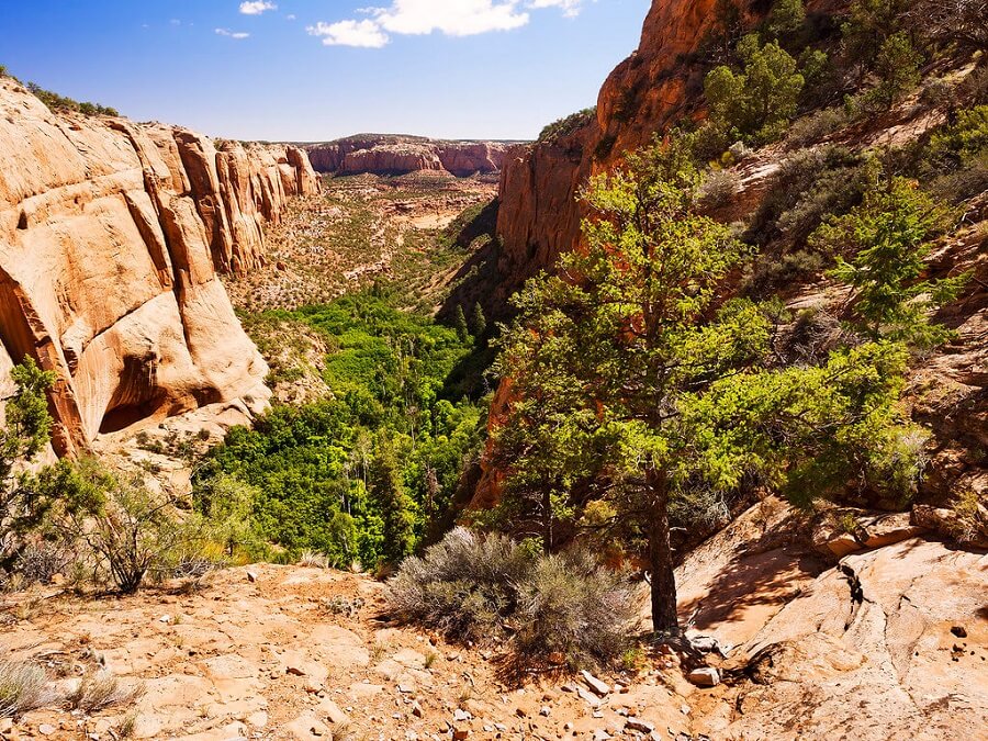 Navajo National Monument in Arizona, USA.