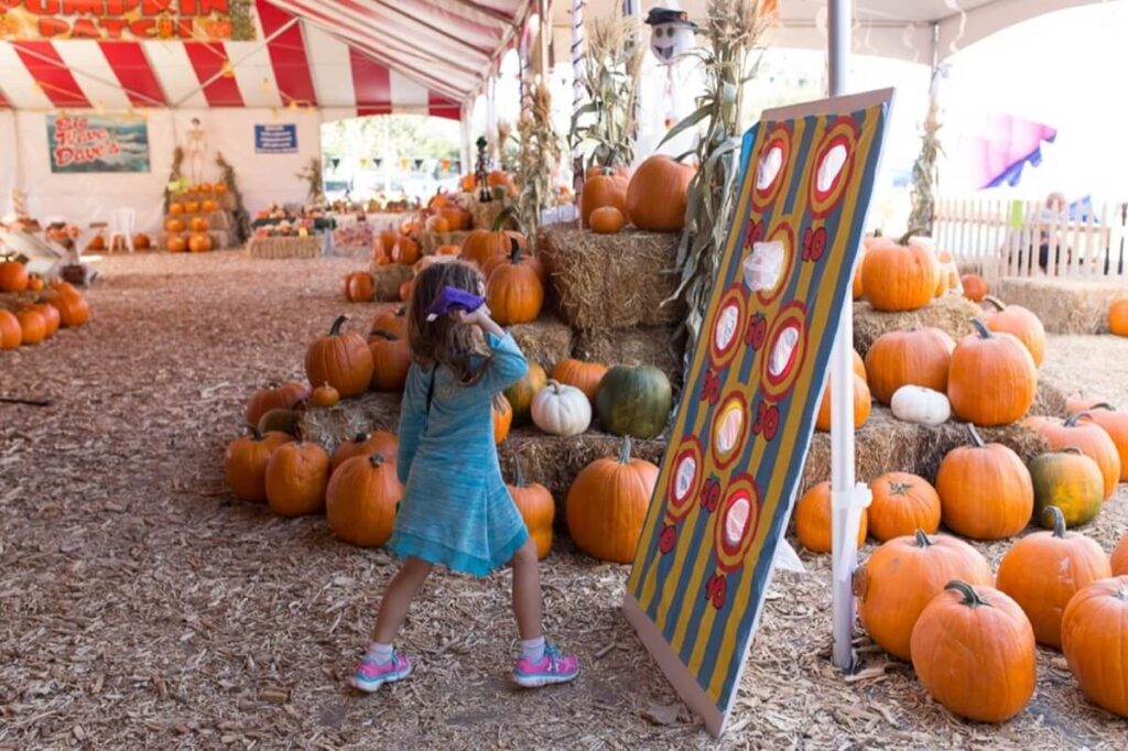 Big Wave Dave's Pumpkin Patch in Ventura.