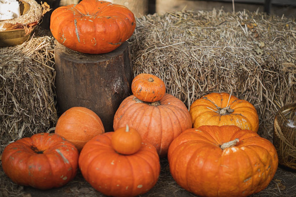 Orange Pumpkins