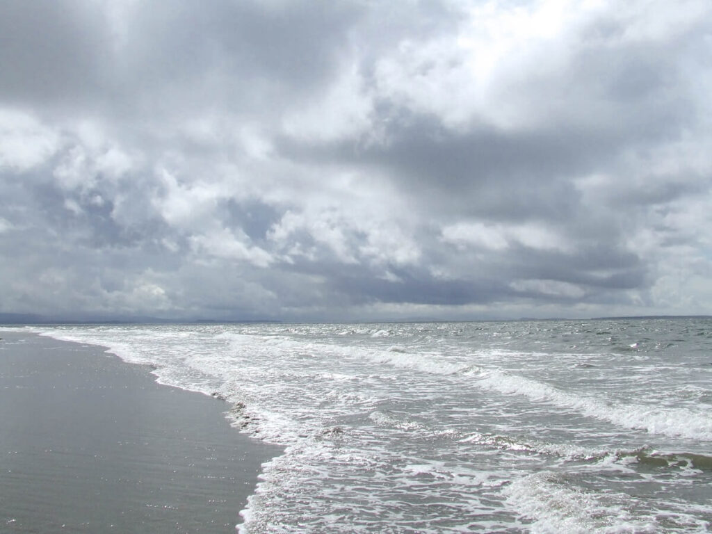 Grayland Beach State Park, Washington.