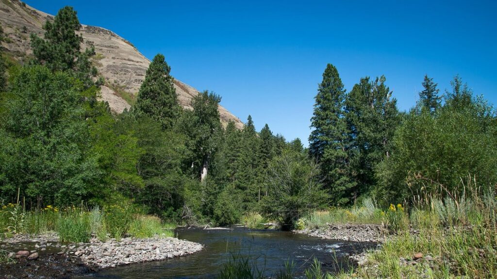 Lewis and Clark State Park, Washington.