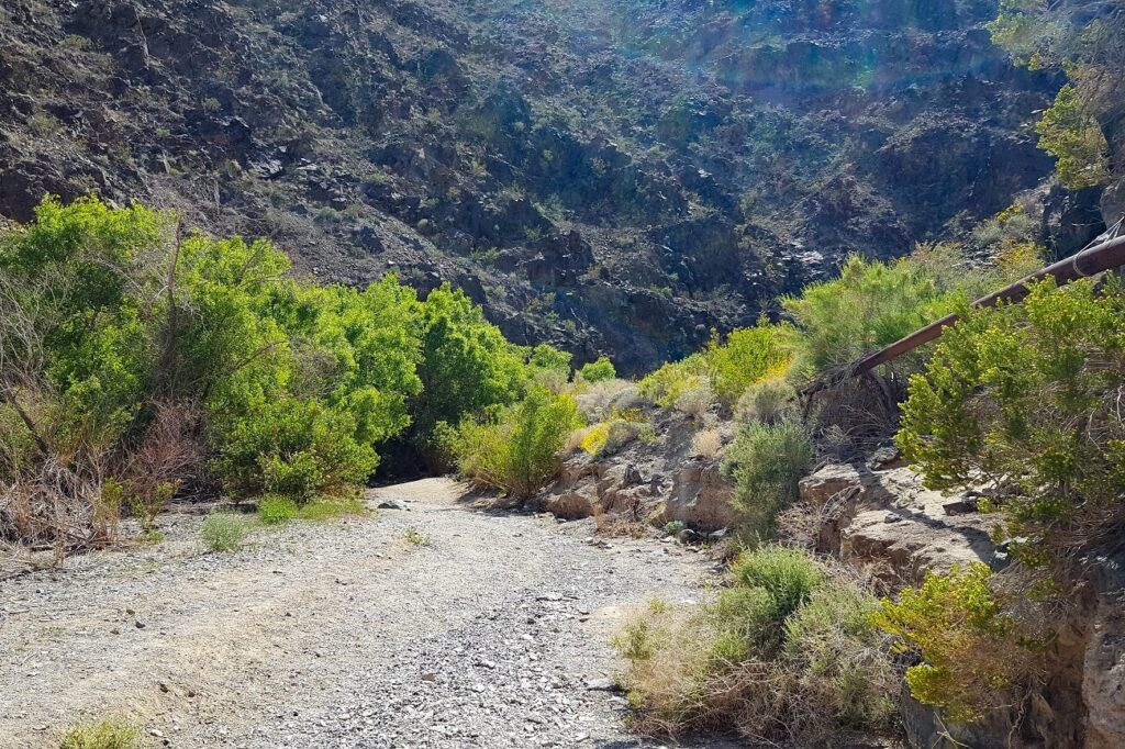 Darwin Falls hiking trail in Death Valley National Park.