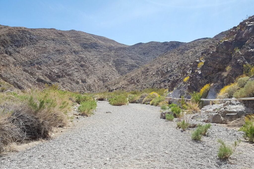 Darwin Falls hiking trail in Death Valley National Park.