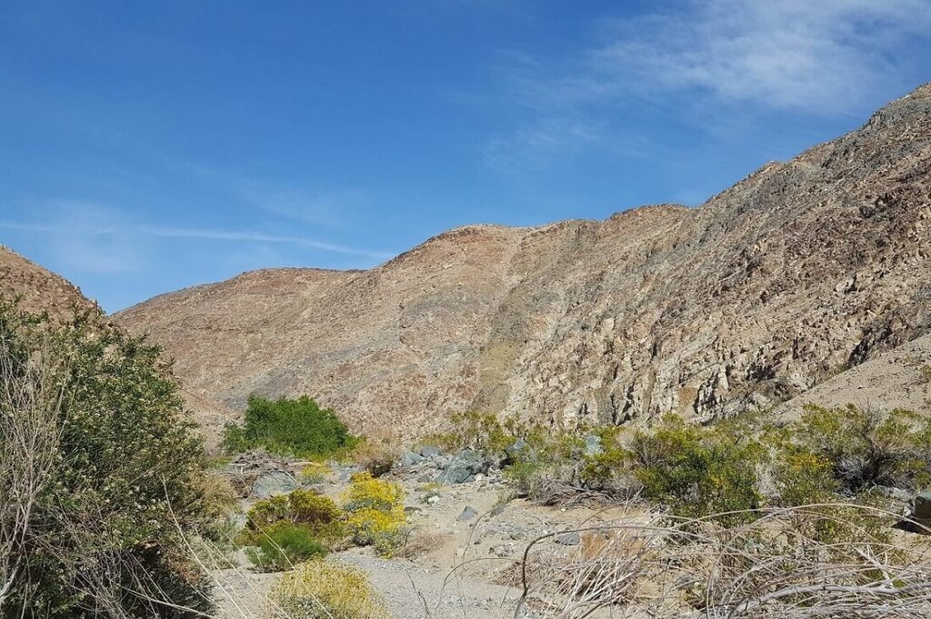 Darwin Falls hiking trail guide, in Death Valley National Park.