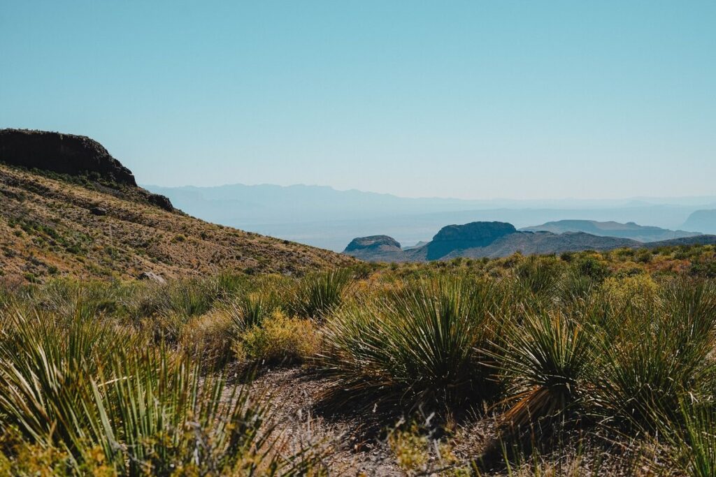 Big Bend National Park, West Texas.