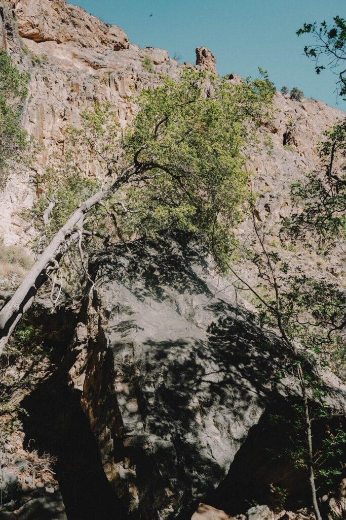 At the end of Pine Canyon Trail in Big Bend National Park.