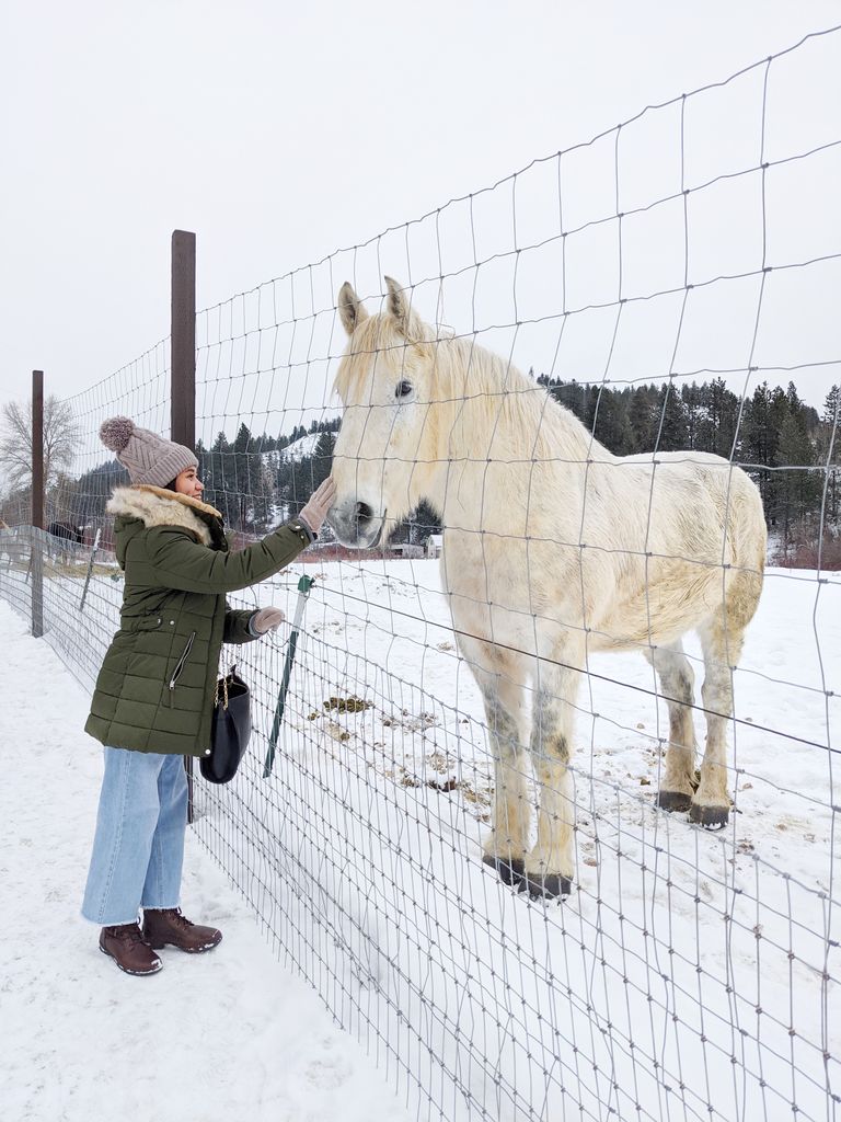 A woman interacts with a horse through a fence in wintery Leavenworth.